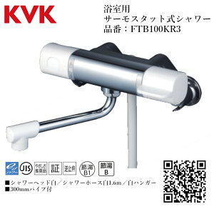 KVK p T[X^bgV[ iԁF FTB100KR3yʒndl    tz