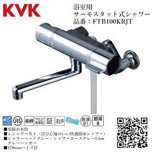 KVK p T[X^bgV[ iԁF FTB100KRJTyʒndl    tz
