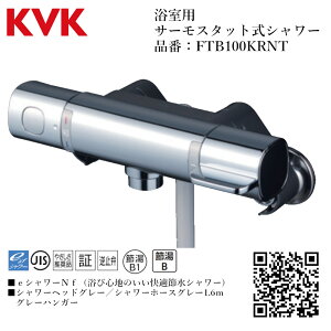 KVK p T[X^bgV[ iԁFFTB100KRNT pCvyʒndl    tz
