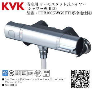 KVK p T[X^bgV[(V[p^) iԁF FTB100KWGSFTyndl    tz