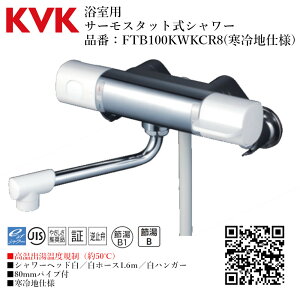 KVK p T[X^bgV[(oxK) iԁF FTB100KWKCR8 yndl    tz