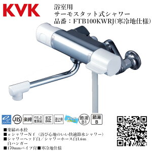 KVK p T[X^bgV[ iԁF FTB100KWRJyndl    tz