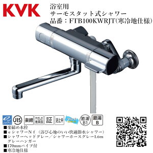 KVK p T[X^bgV[ iԁF FTB100KWRJTyndl    tz