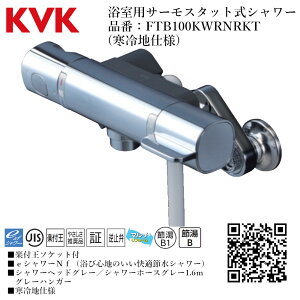 KVK p T[X^bgV[ iԁF FTB100KWRNRKTyndl    tz