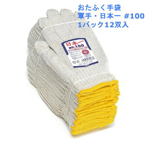  ӂ RE{ iԁF#100 1pbN12o