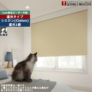 [XN[ 61`90cm×121`180cm I[_[ 1cmP @H VG Ռ 1 [J[e