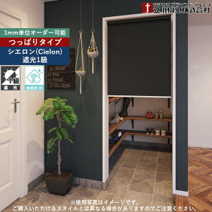 ς胍[XN[ 25.0`40.9cm×121.0`180.9cm I[_[ 0.1cmP Ki  rO ˂ @H VG Ռ 1 [J[e