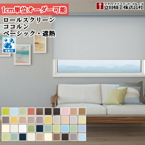 [XN[ 30`40cm×91`120cm I[_[1cmP i @H RR W ՔM { [J[e