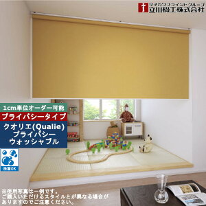 [XN[ 41`60cm×121`180cm I[_[ 1cmP @H NIG  [J[e