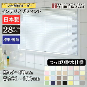CeAuCh ςϐdl 45`80cm×81`100cm I[_[ 1cmP @H W ՔM uChJ[e  C 