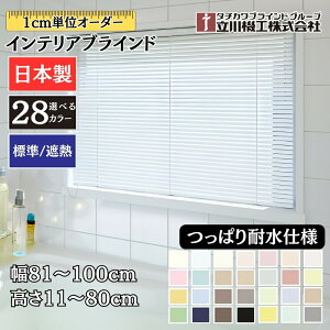 CeAuCh ςϐdl 81`100cm×11`80cm I[_[ 1cmP @H W ՔM uChJ[e  C 