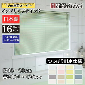 CeAuCh ςϐdl 45`80cm×101`120cm I[_[ 1cmP @H ՔM tbfR[gՔM uChJ[e  