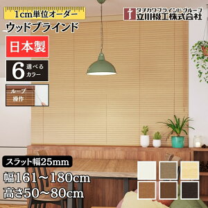 EbhuCh25 [v 161`180cm×50`80cm I[_[ 1cmP @H Ԏd { ؖ  ؐ uChJ[e