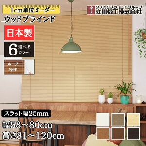 EbhuCh25 [v 58`80cm×81`120cm I[_[ 1cmP @H Ԏd { ؖ  ؐ uChJ[e