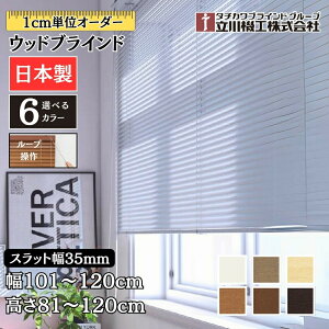 EbhuCh35 [v 101`120cm×81`120cm I[_[ 1cmP @H Ԏd { ؖ  ؐ uChJ[e