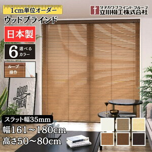 EbhuCh35 [v 161`180cm×50`80cm I[_[ 1cmP @H Ԏd { ؖ  ؐ uChJ[e