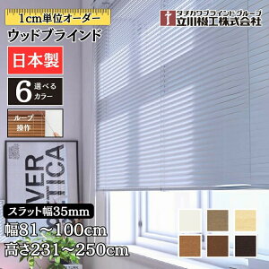 EbhuCh35 [v 81`100cm×231`250cm I[_[ 1cmP @H Ԏd { ؖ  ؐ uChJ[e