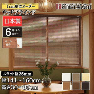 EbhuCh25 |[ 141`160cm×30`80cm I[_[ 1cmP @H Ԏd { ؖ  ؐ uChJ[e