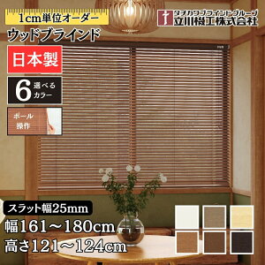 EbhuCh25 |[ 161`180cm×121`124cm I[_[ 1cmP @H Ԏd { ؖ  ؐ uChJ[e