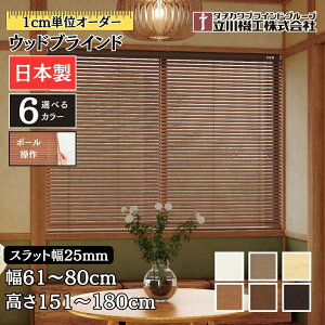 EbhuCh25 |[ 61`80cm×151`180cm I[_[ 1cmP @H Ԏd { ؖ  ؐ uChJ[e