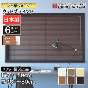 EbhuCh35 |[ 61`80cm×30`80cm I[_[ 1cmP @H Ԏd { ؖ  ؐ uChJ[e