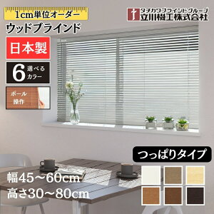 ςEbhuCh25 45`60cm×30`80cm I[_[ 1cmP @H  rXsv  Ԏd  { ؖ ؐ uChJ[e