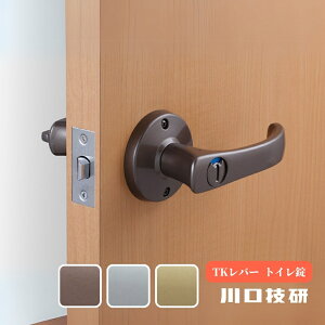 GIKEN MP Z TKo[ gC DT1-4M-MB DT1-4M-MS DT1-4M-MG obNZbg60mm hAmu   o[nh