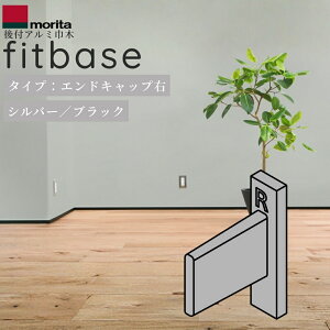 �X�c�A���~�H�� ��t�A���~�Ж� fitbase �G���h�L���b�v �E �V���o�[�^�u���b�N 1�� FT20ER-S�^FT20ER-B