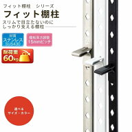サヌキ フィット棚柱 1820mm 全6種 スリム 強力 棚柱レール 可動棚 収納 壁面収納 DIY LS-901 LS-902 LS-…