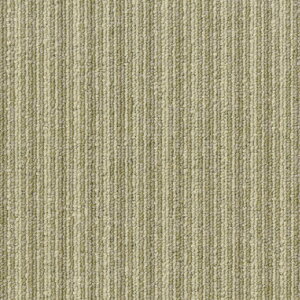 VR[ z[^CJ[ybg tY200 FRN 50cm×50cm 1P[X16 S2F ^C}bg O~    WCg pl 50cmp `