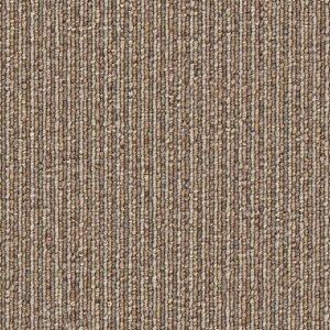 VR[ z[^CJ[ybg pRC PAL 50cm×50cm 1P[X16 S6F ^C}bg O~    WCg pl 50cmp `