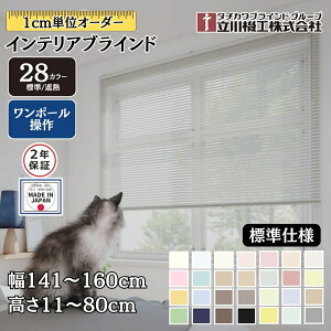 CeAuCh Wdl |[ 141`160cm×11`80cm I[_[ 1cmP @H W ՔM uChJ[e