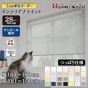 CeAuCh ςdl |[ 161`180cm×81`100cm I[_[ 1cmP @H W ՔM uChJ[e 