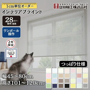 CeAuCh ςdl |[ 45`80cm×101`120cm I[_[ 1cmP @H W ՔM uChJ[e 