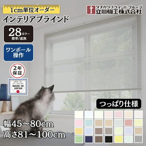 CeAuCh ςdl |[ 45`80cm×81`100cm I[_[ 1cmP @H W ՔM uChJ[e 