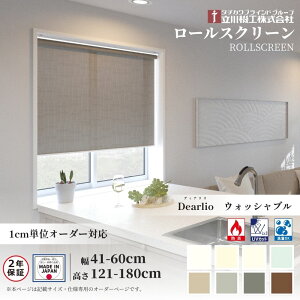 ���[���X�N���[�� �W���d�l �f�B�I���A �Ռ� �E�H�b�V���u�� ��41�`60cm×����121�`180cm �I�[�_�[1cm�P�� ����@�H ���{�� ���[���J�[�e��