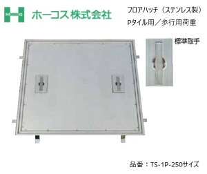 z[RX tAnb` [dlYt TS-1P 250TCY XeX P^Cp sp׏d 