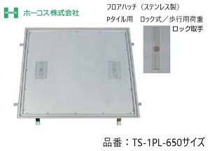 z[RX tAnb` [dlYt TS-1PL 650TCY XeX bN P^Cp sp׏d 