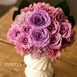   ~ vU[uht[ uU[h AWg  @     O     ybg l\ @v  @v  