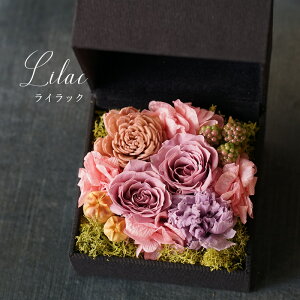 vU[uht[ {bNX Mtg a y jd d   e i ސEj җ Ê  P Ď  j җj Êj j Ďj 77 80 