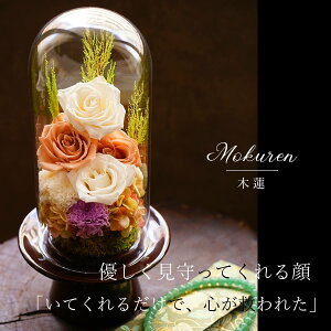 vU[uht[   KXh[ ~  V~ dp @ vU[uht[      ފ ʖ V ʎ @v d d  r 