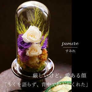 vU[uht[   KXh[ ~  V~ dp @ vU[uht[      ފ ʖ V ʎ @v d d  r 