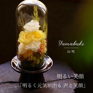 vU[uht[   KXh[ ~  V~ dp @ vU[uht[      ފ ʖ V ʎ @v d d  r 