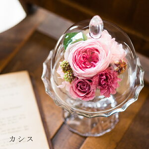 vU[uht[ Mtg d   jd j LO v[g   Ȃ LO e uU[ht- Mtg a hV̓ ސE ސEj v[g 