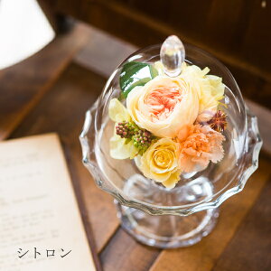 vU[uht[ Mtg d   jd j LO v[g   Ȃ LO e uU[ht- Mtg a hV̓ ސE ސEj v[g 