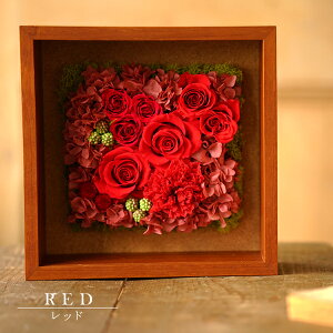   ~ vU[uht[ uU[h AWg  @     O     ybg l\ @v  @v  