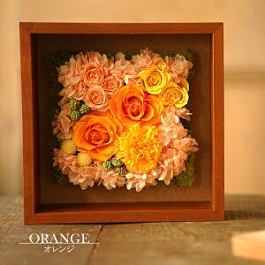   ~ vU[uht[ uU[h AWg  @     O     ybg l\ @v  @v  