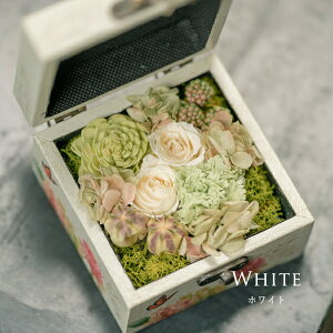 vU[uht[ {bNX Mtg a y jd d   e i ސEj җ Ê  P Ď  j җj Êj j Ďj 77 80 