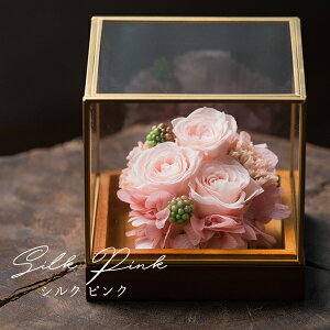  ~   V~ vU[uht[ dp @ uU[ht[ vU[uht[      ފ ʖ V ʎ @v d d  r 