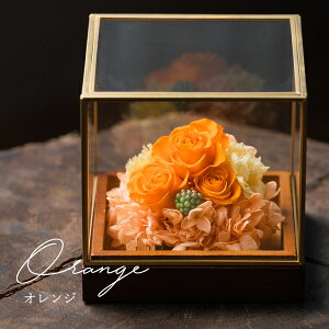  ~   V~ vU[uht[ dp @ uU[ht[ vU[uht[      ފ ʖ V ʎ @v d d  r 